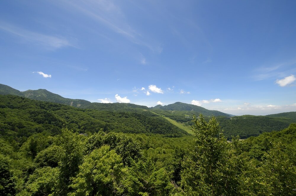 Фото Hotel Higashidate