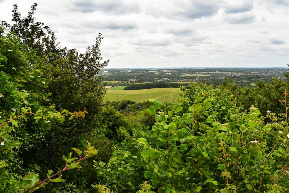 Фото The Black Horse Inn