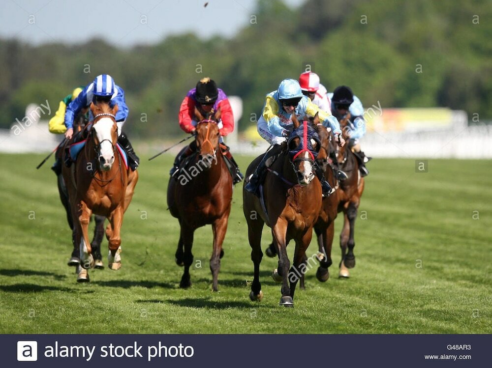 Фото Airport Guest House