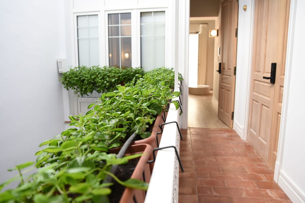 Фото Casa Bailen Apartamentos