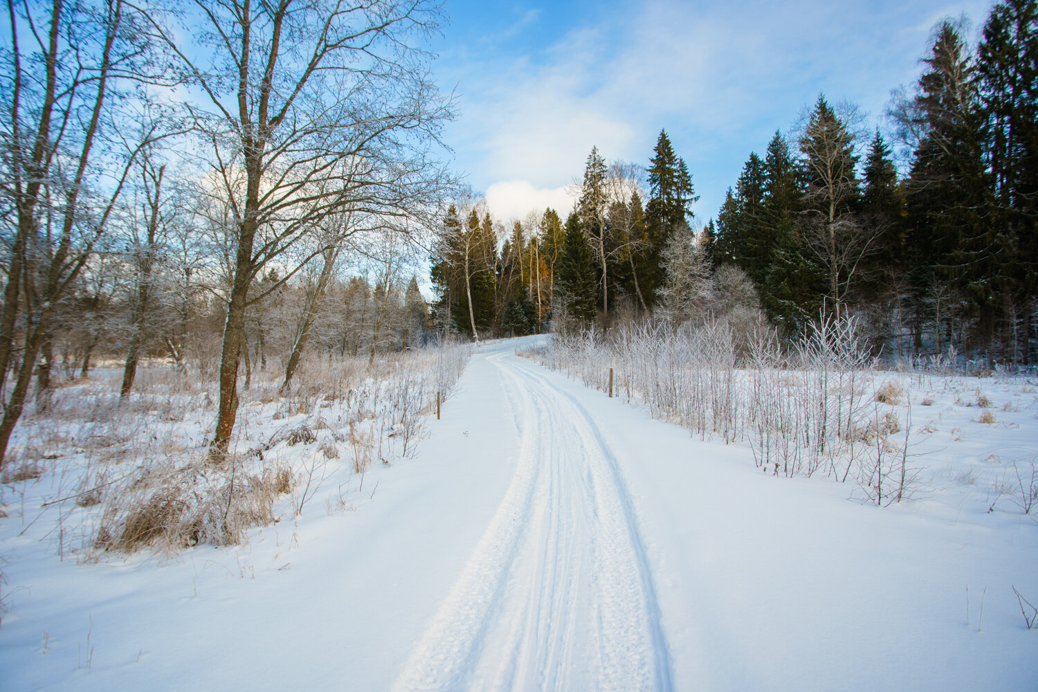 Фото Форест Хиллс