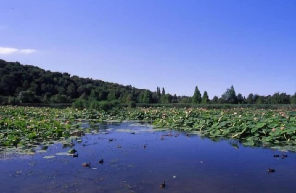 Фото Hotel Belvédère Cannes-Mougins