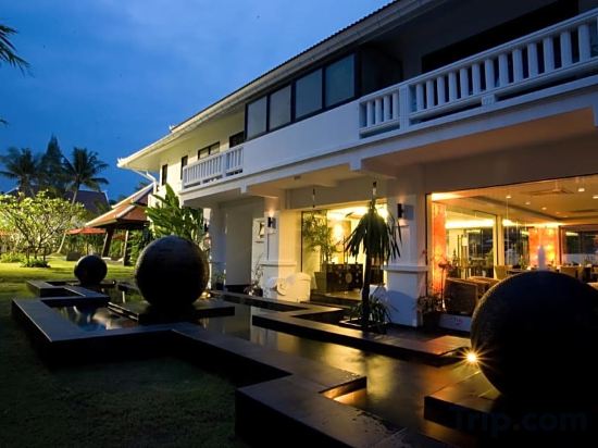 Фото Palm Grove Resort