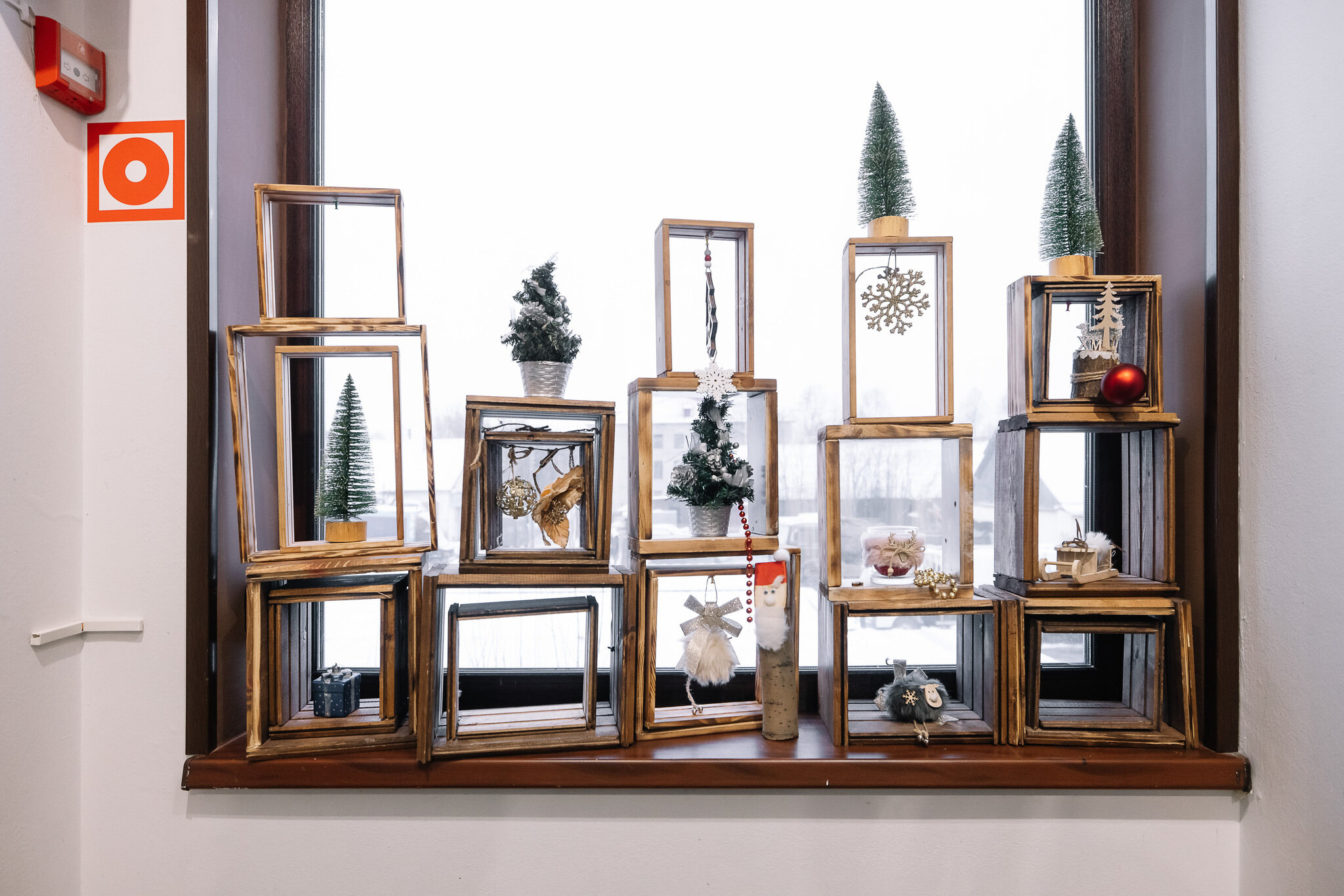 Фото Тундра