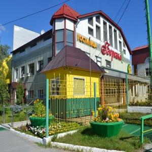 Фото Березка