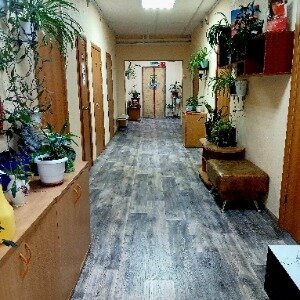 Фото Кубань