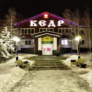 Фото Кедр