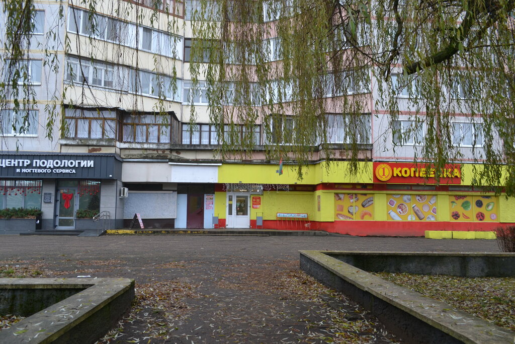 Copy center Bobruisk variant, Bobruisk, photo