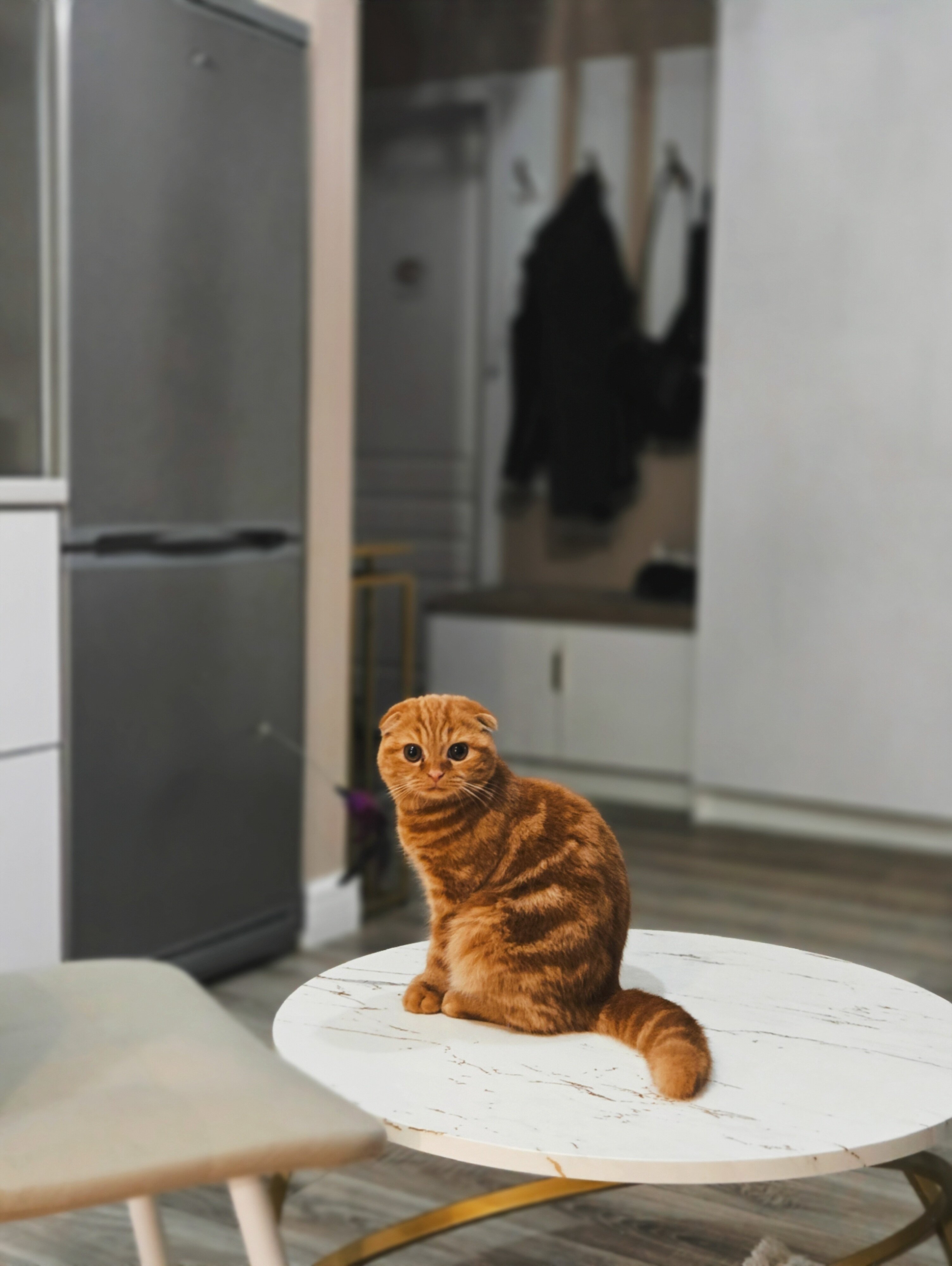 Фото Golden Sand