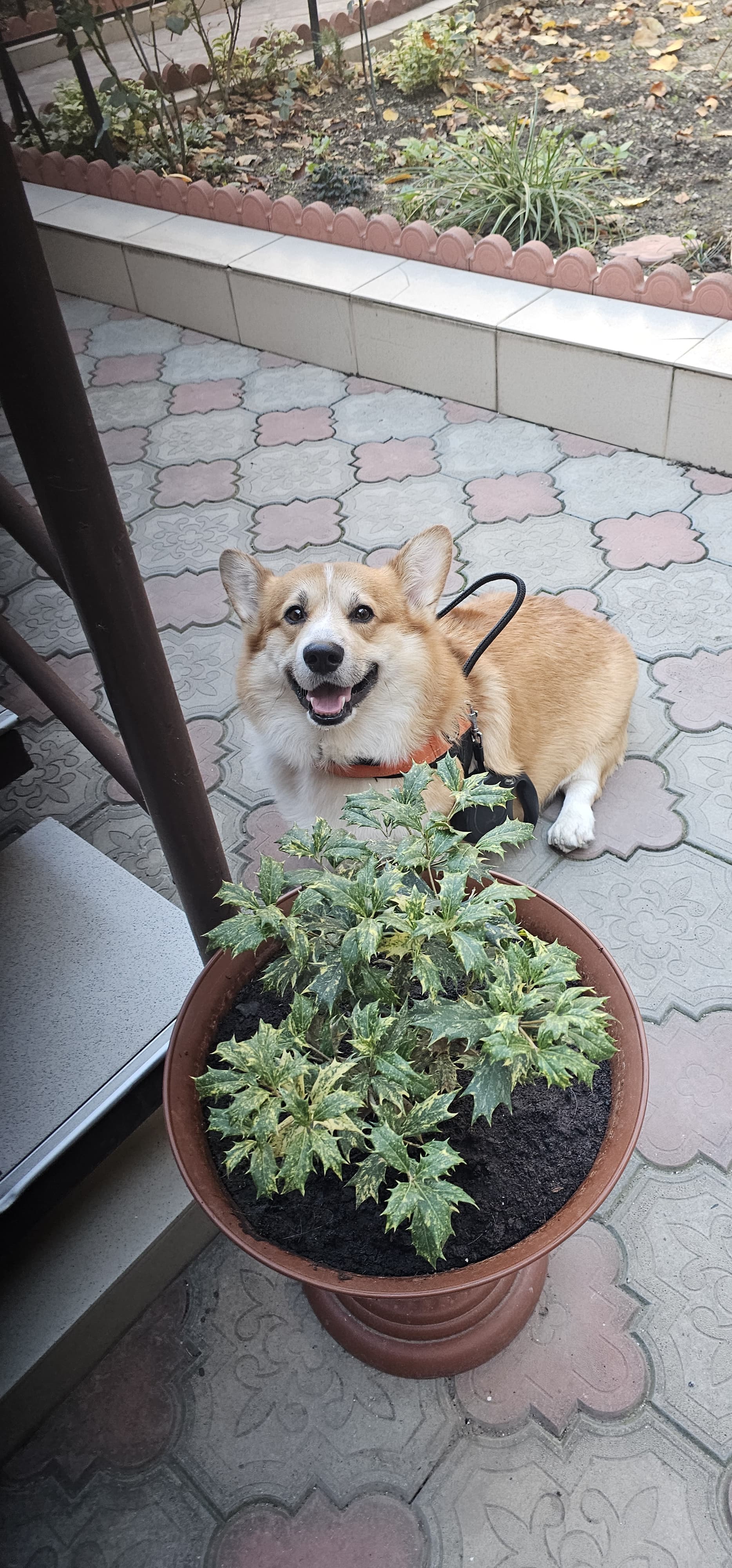 Фото Центральный