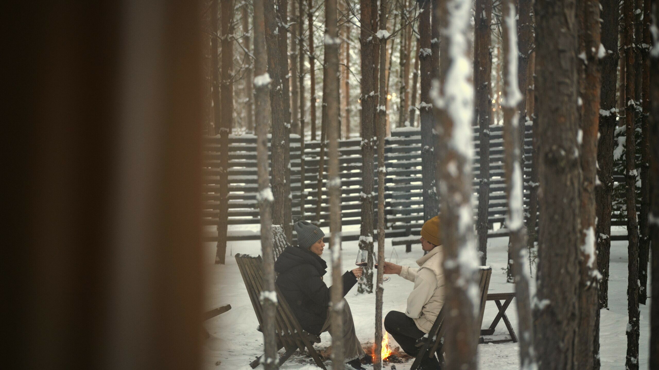 Фото Место под соснами