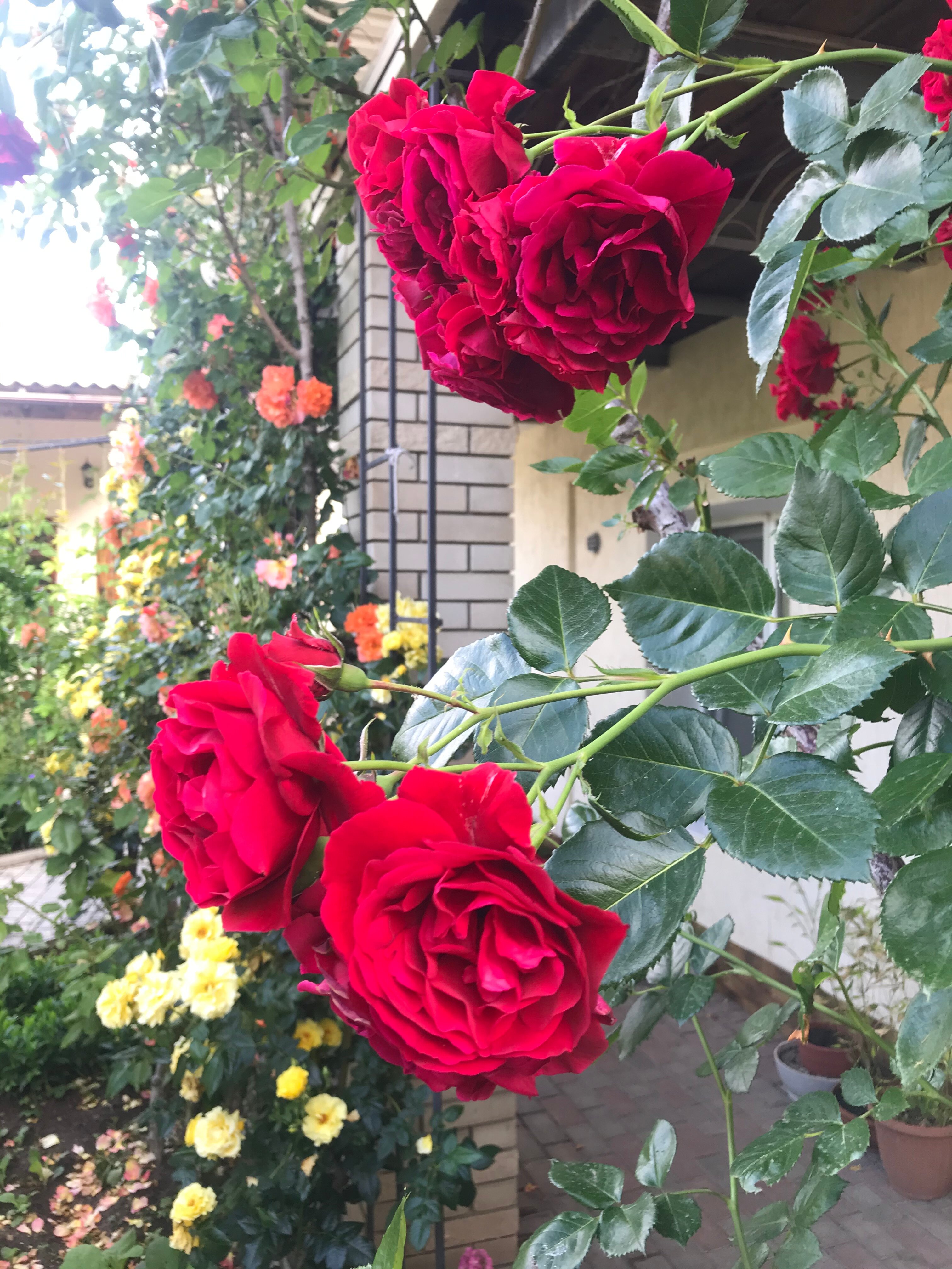 Фото Гостевой дом Прекрасная гавань