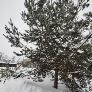 Фото Пролетарская улица 19