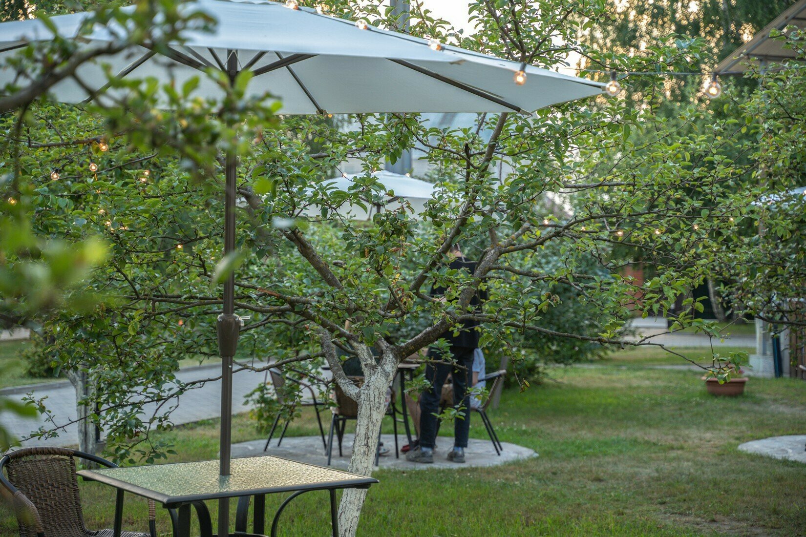 Фото Аристократ