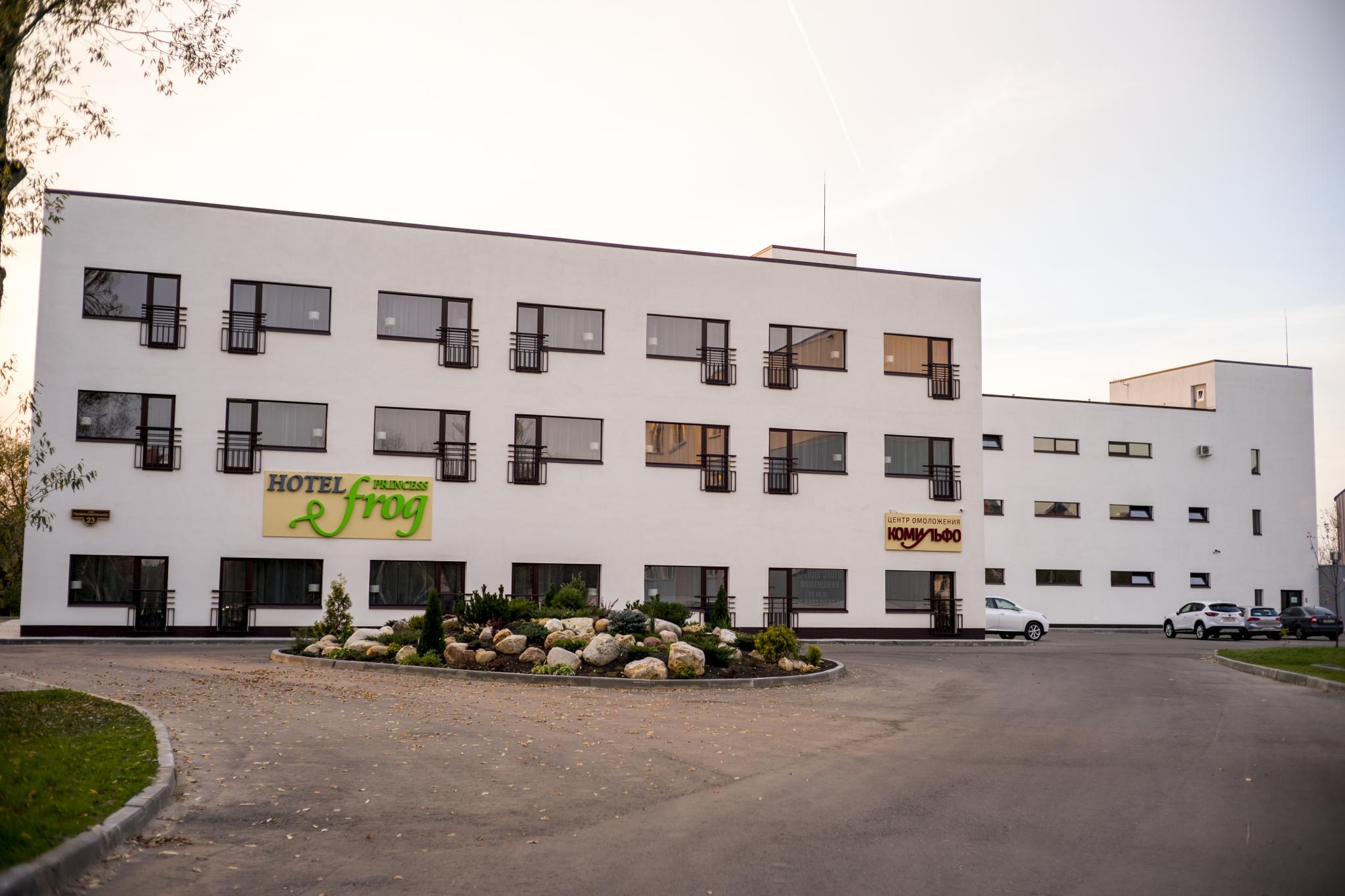 Фото Princess Frog