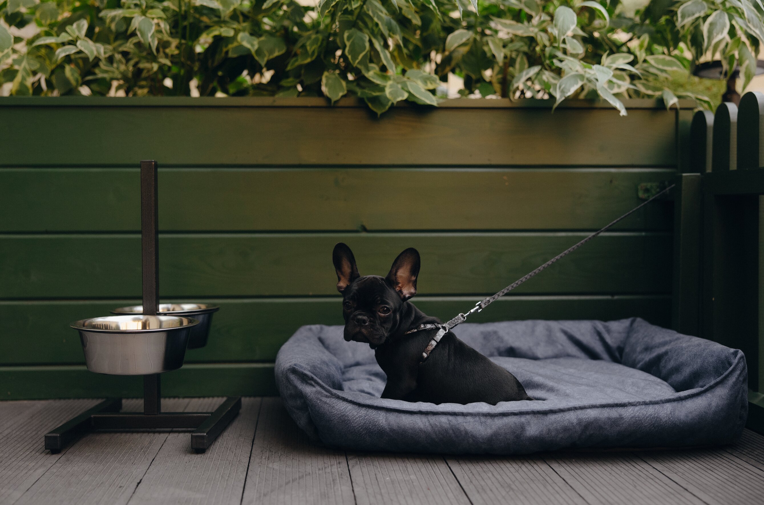 Фото Гимназия № 5