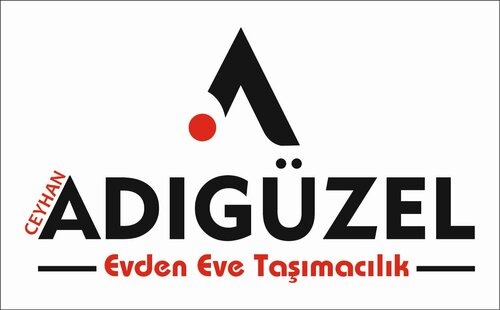 Adıgüzel asansörlü evden eve taşımacılık, taşımacılık hizmetleri