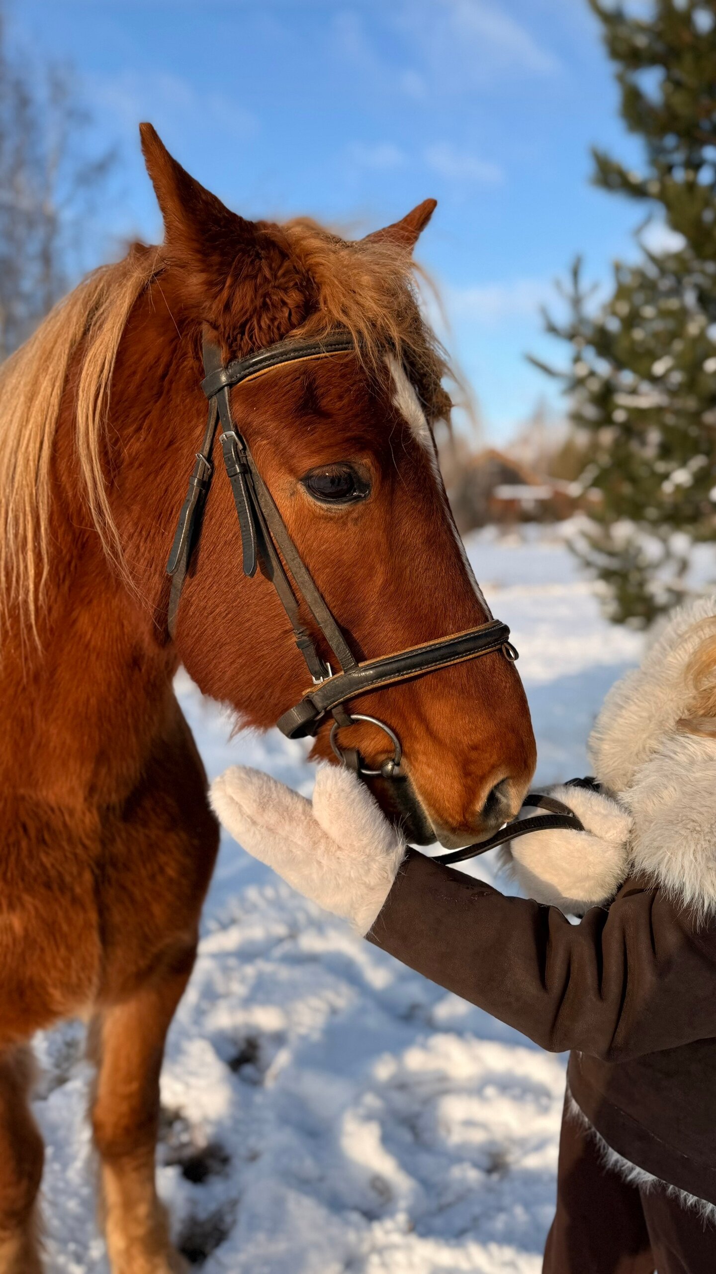 Фото Экопарк Акулово