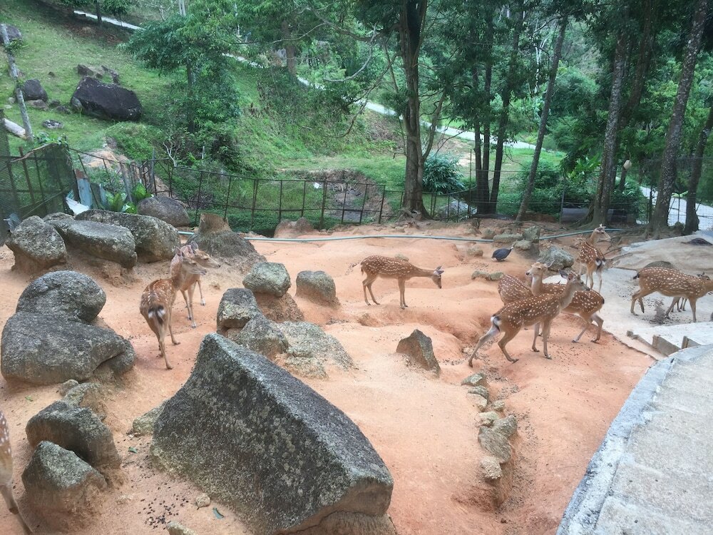 Фото Paradise Beach Resort