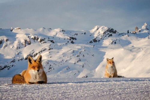 Внешний вид отеля Hotel Kreuz & Post в Гриндельвальде, фото 5