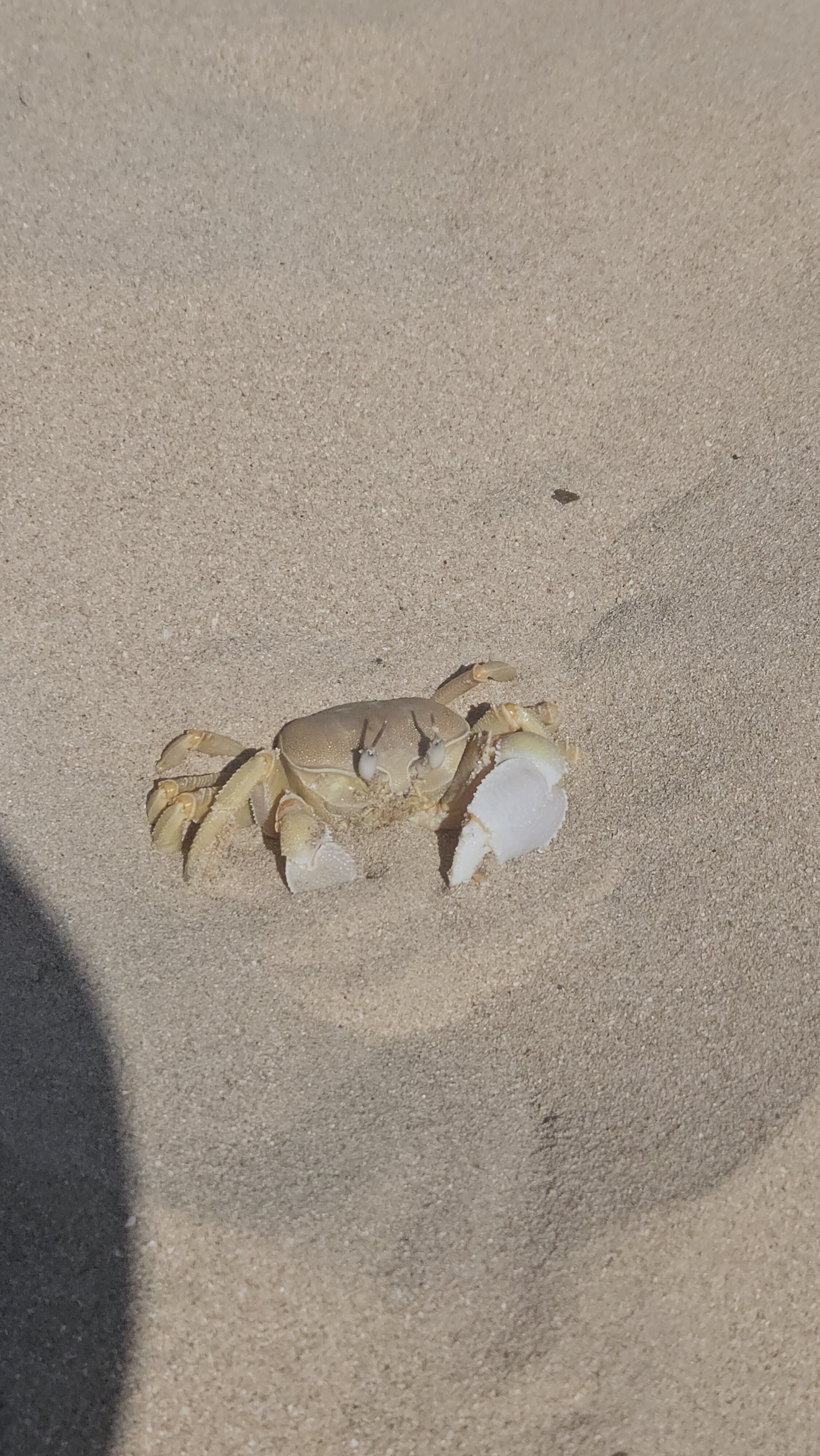 Фото Пляжный курорт Салала