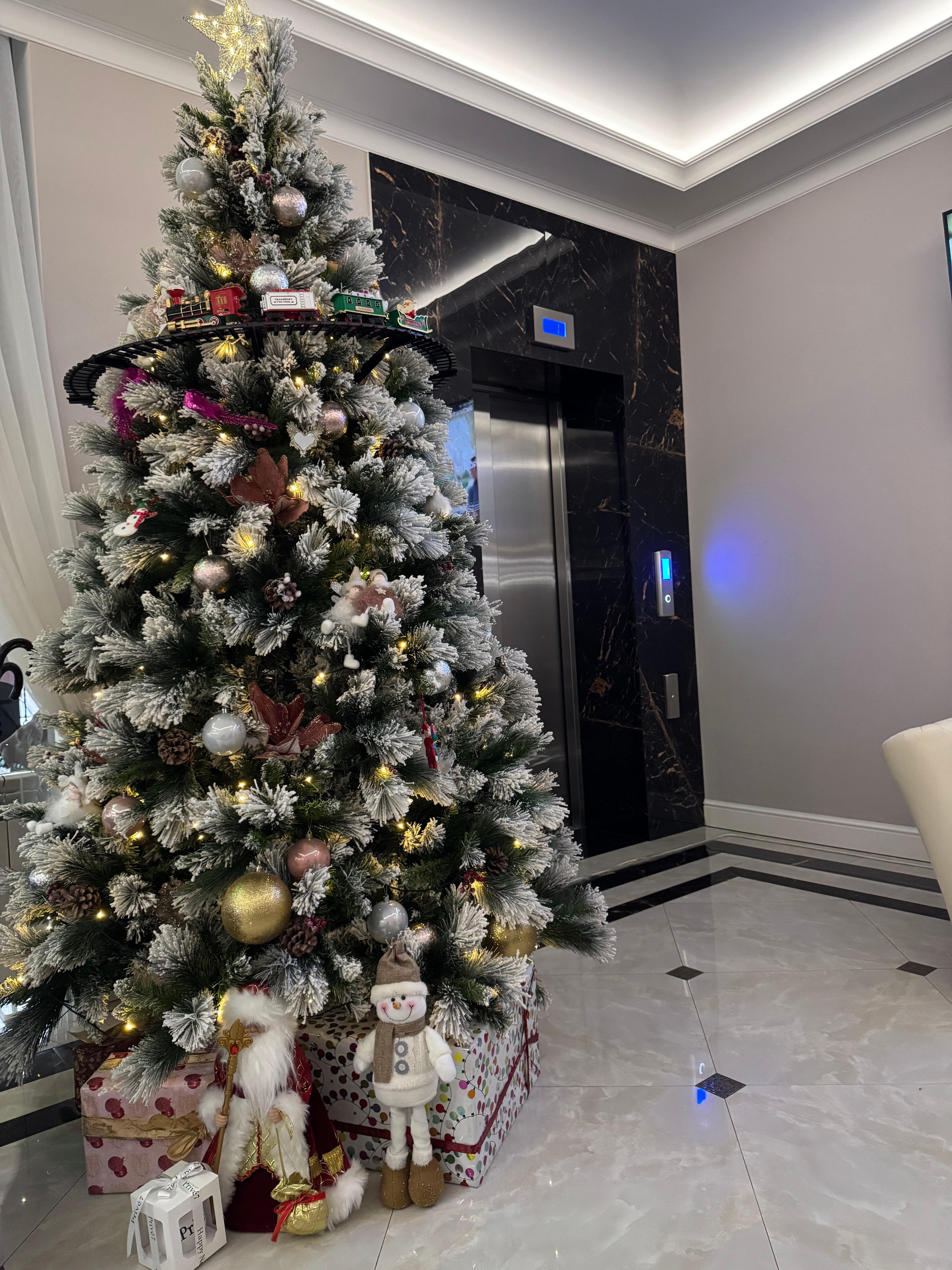 Фото Монарх