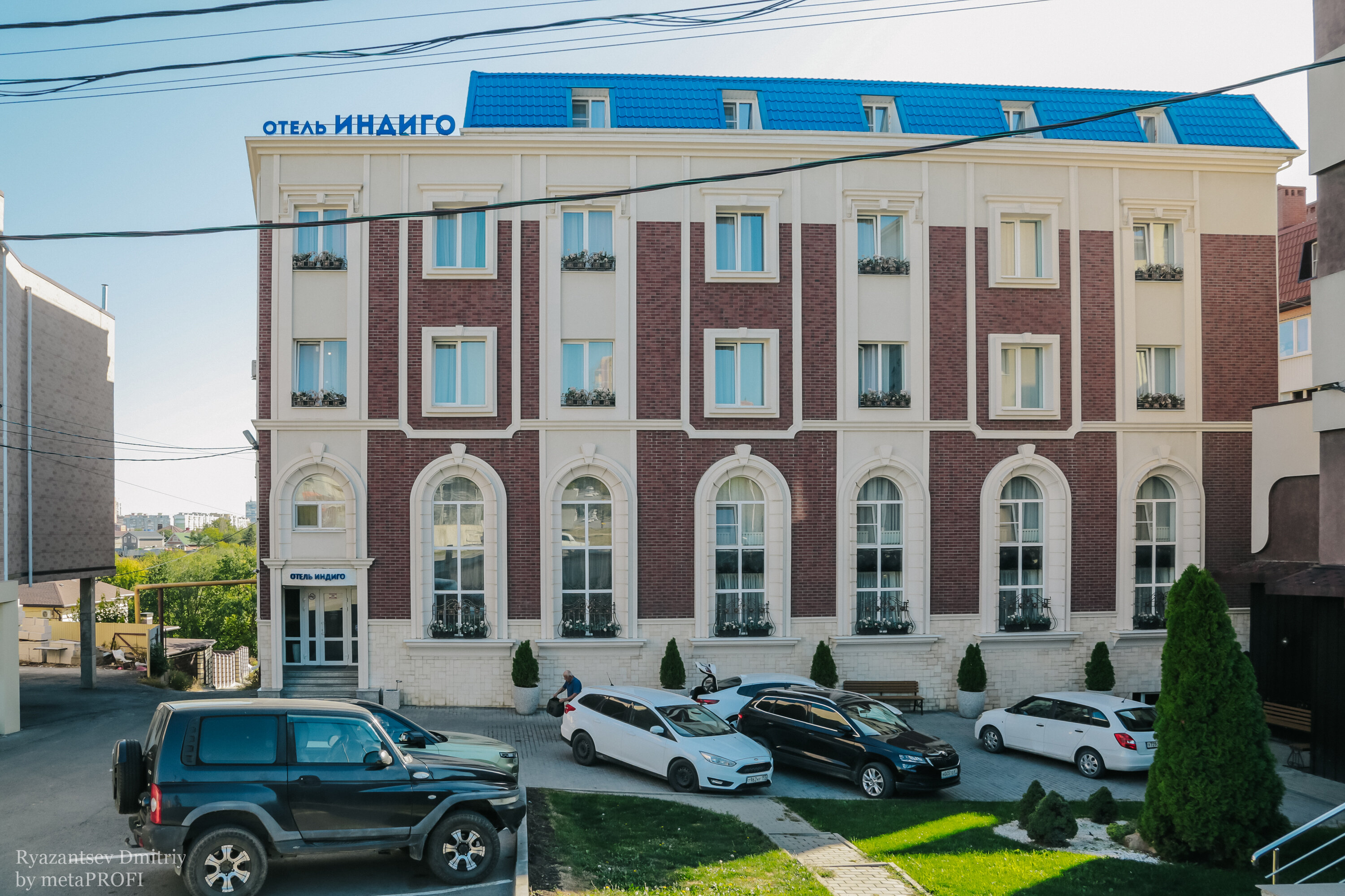 Фото Индиго