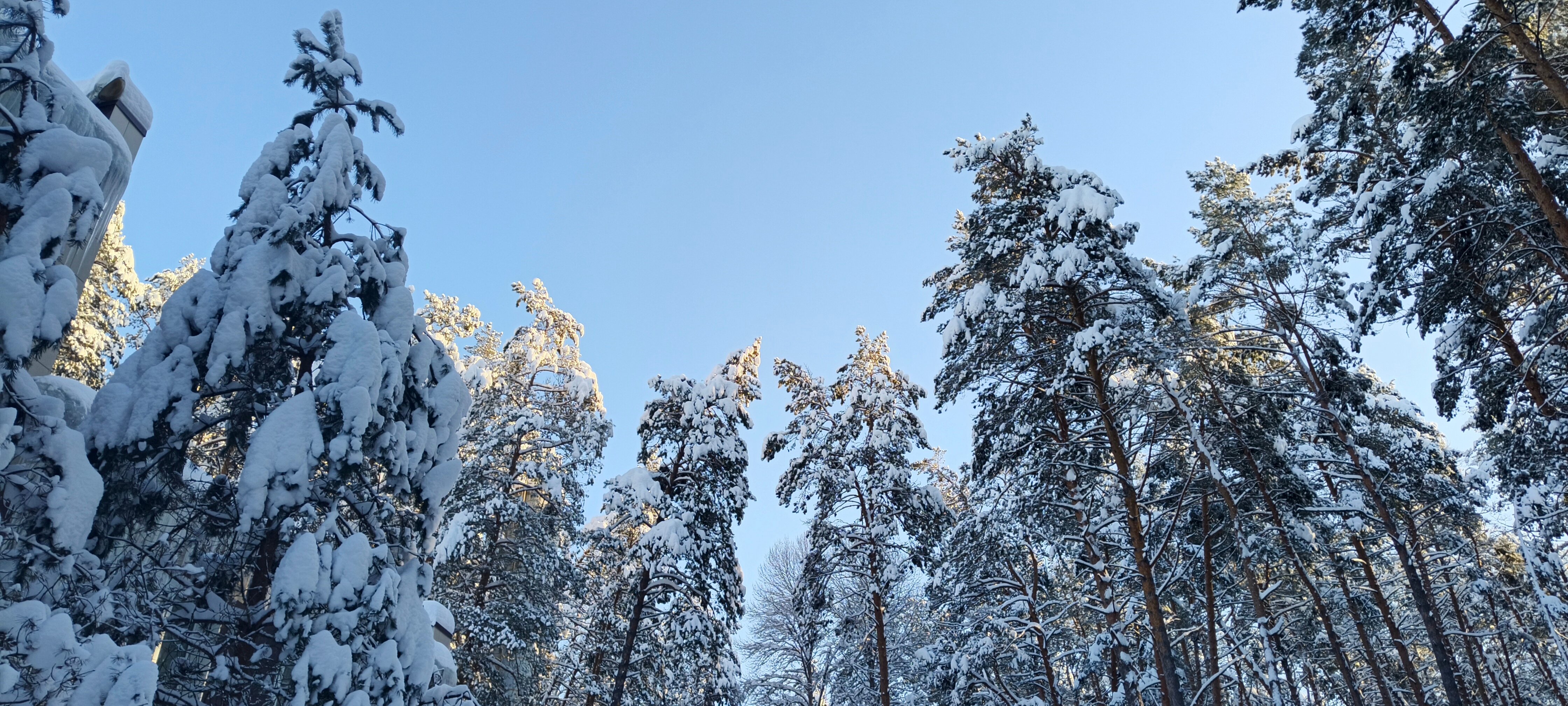 Фото Премьера