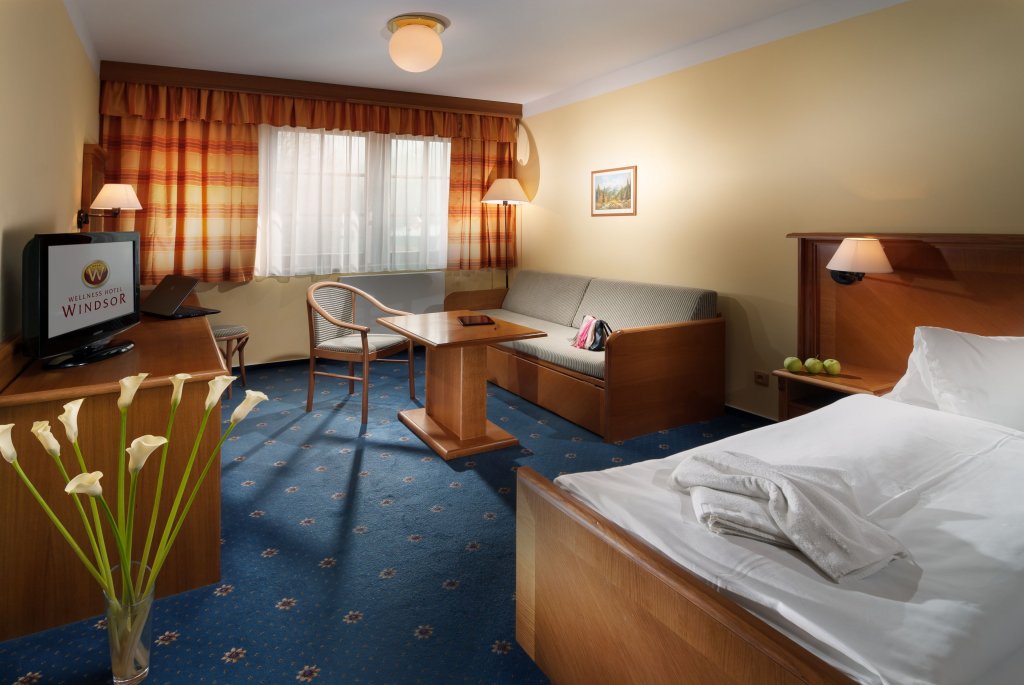 Фото Wellness Hotel Windsor