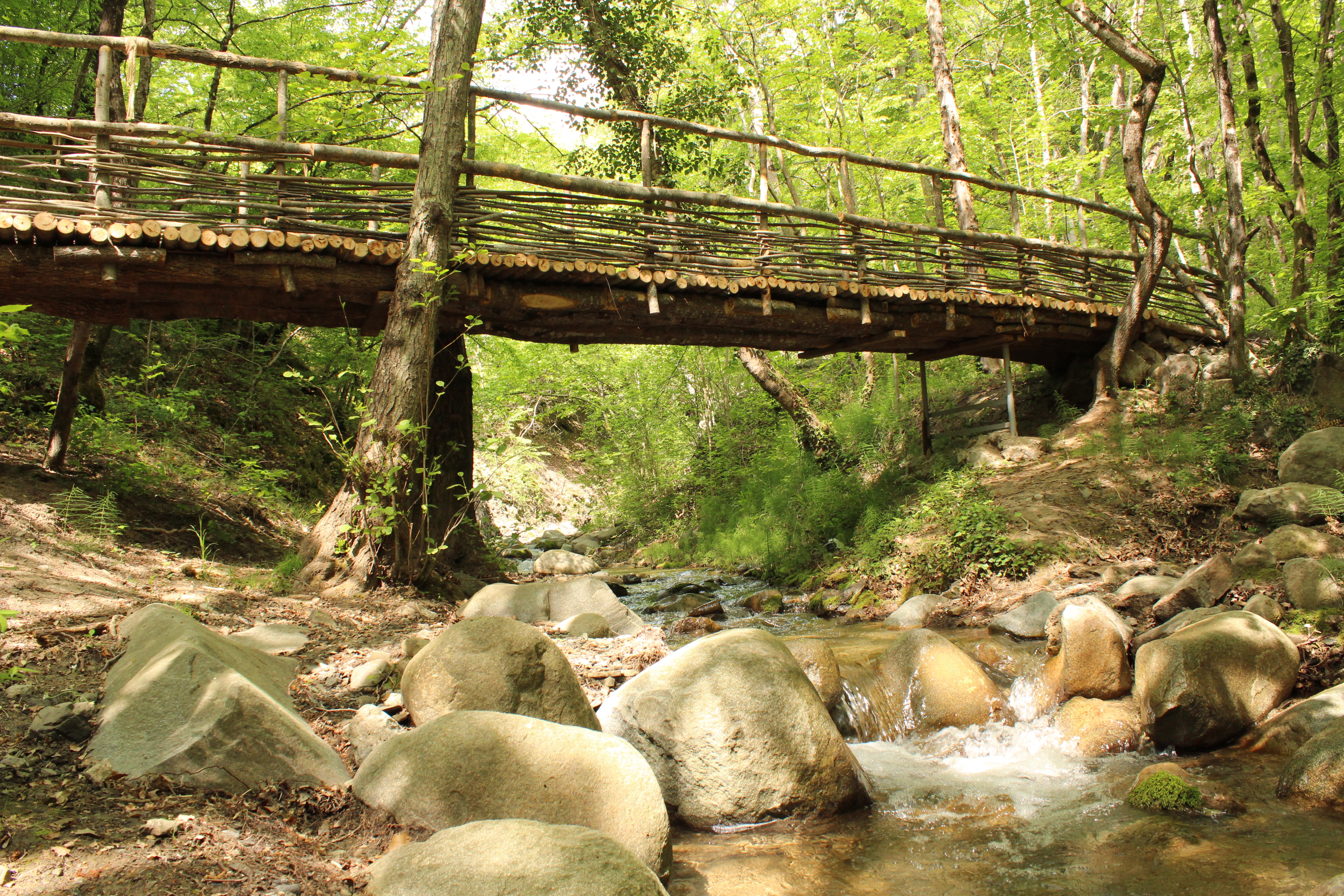 Фото Ай-Лия