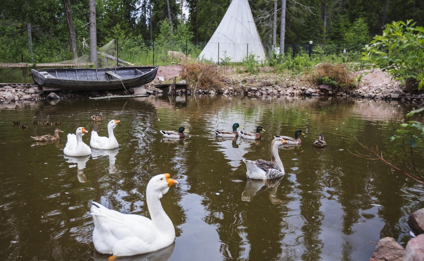 Фото Вепсский Хутор