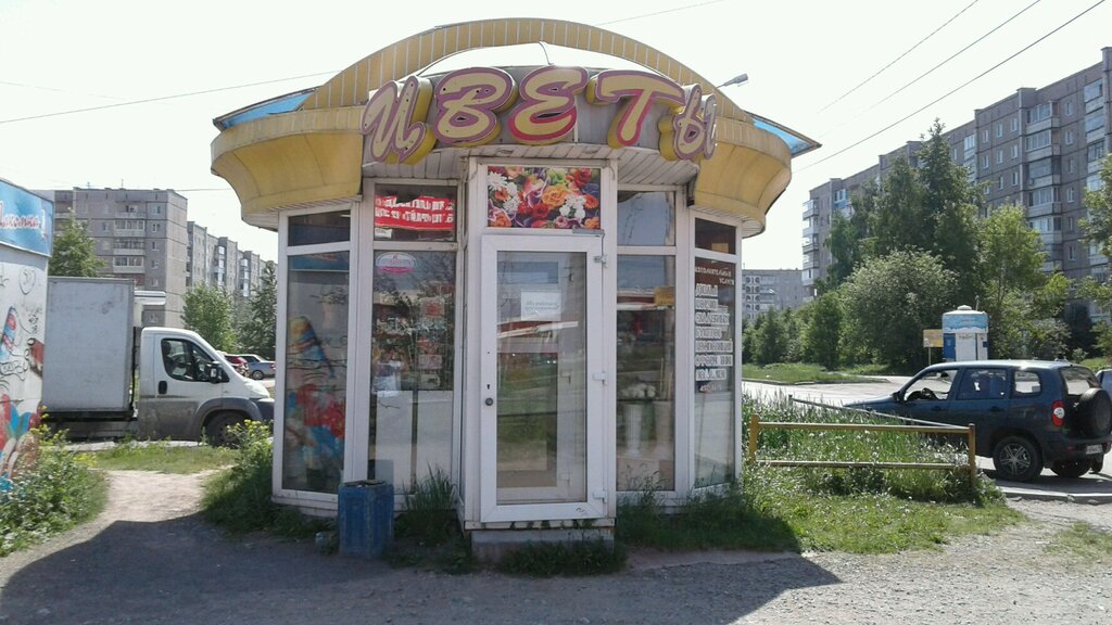Цветы Тагил Магазин