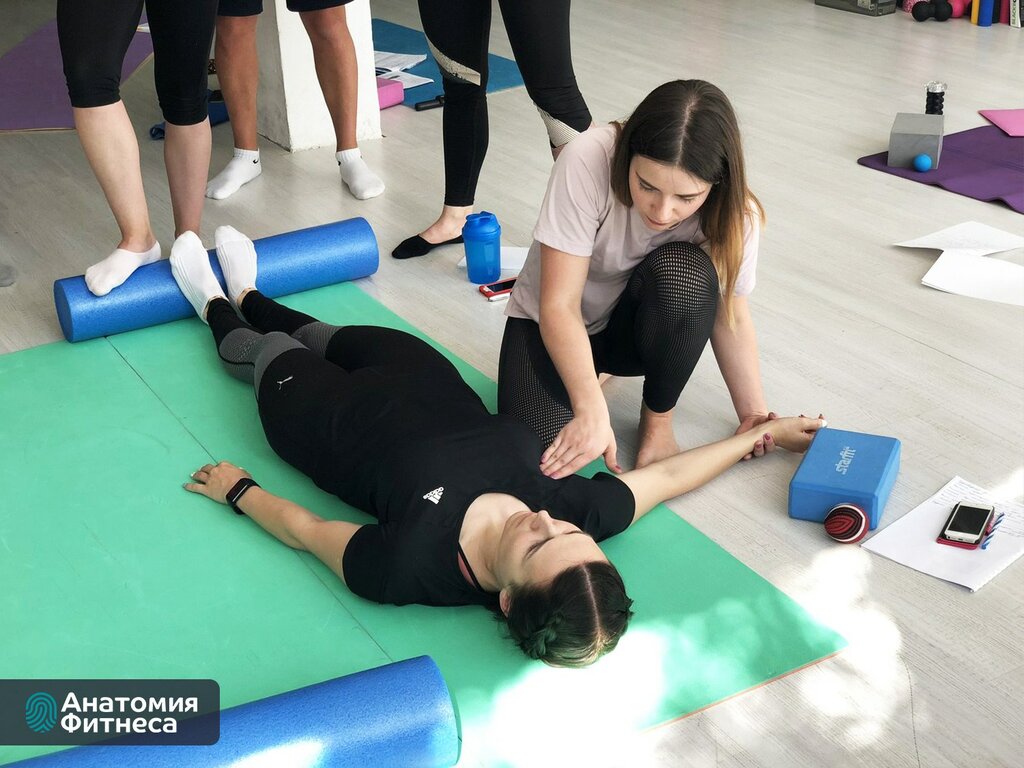 Анатомия фитнес курсы