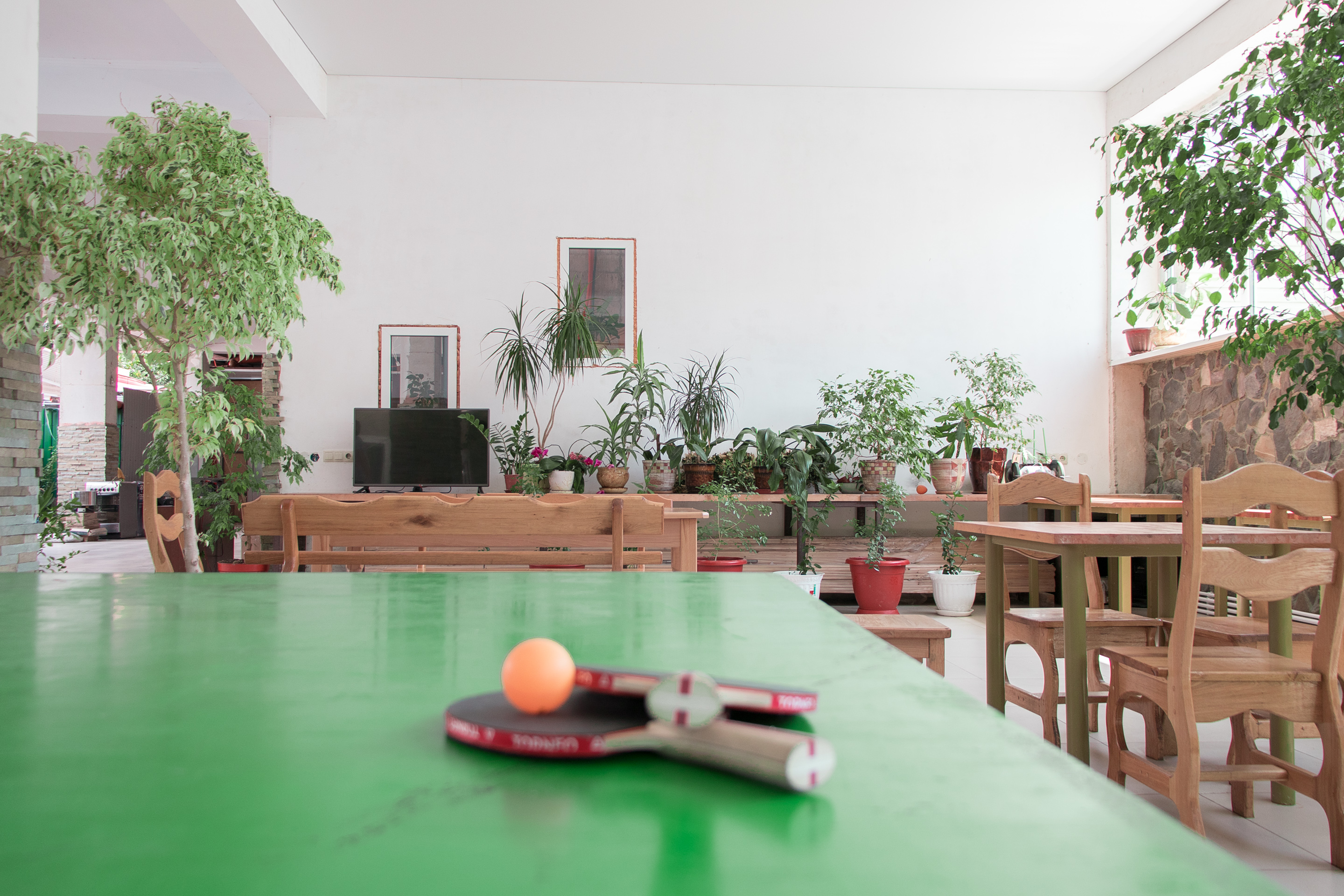 Фото Колибри Beach