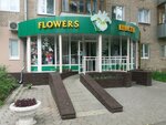 Flowers (Ташкентская ул., 60, Иваново), магазин цветов в Иванове