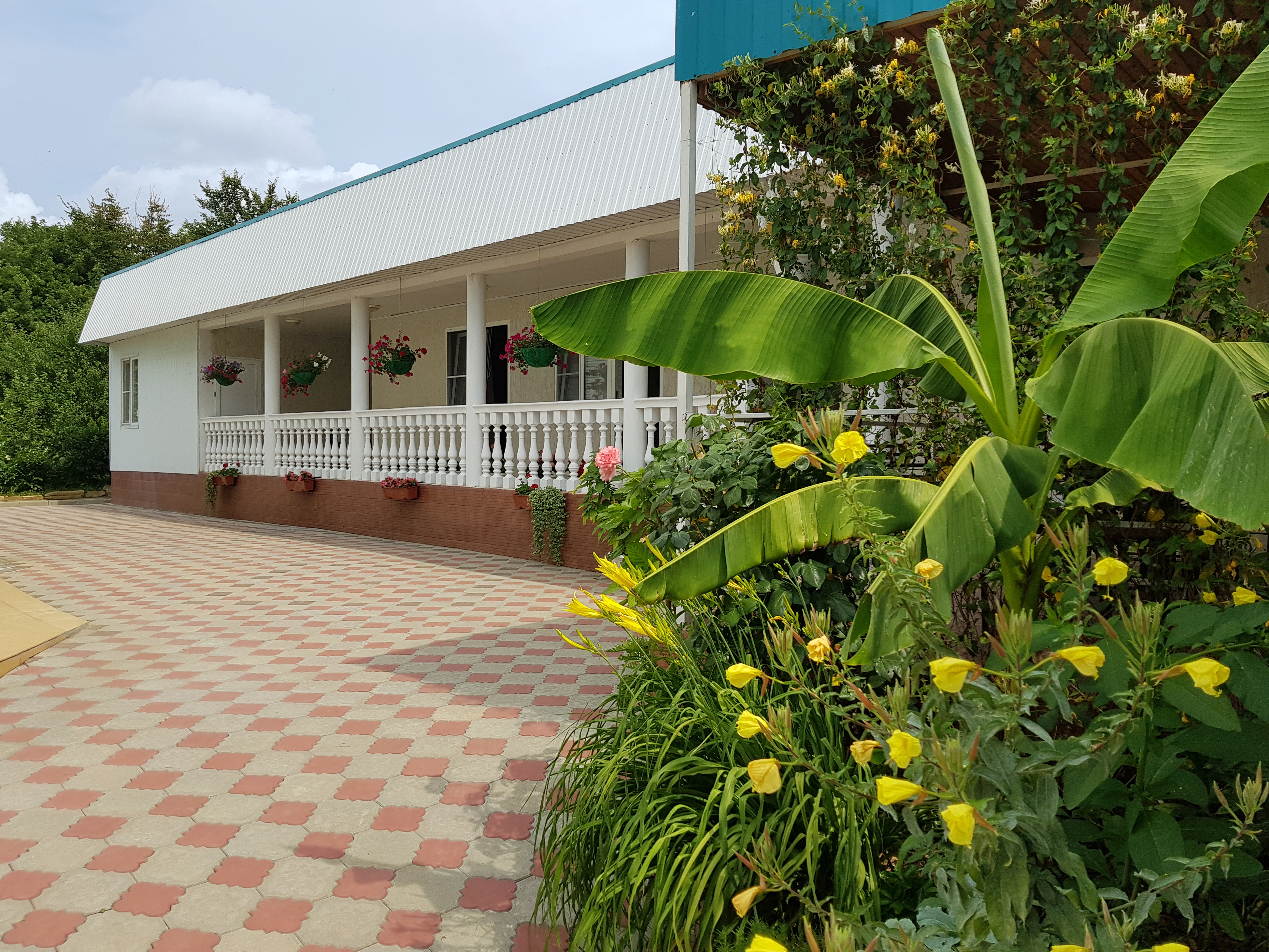 Фото Бирюза