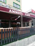 Ammoti Cafe (Cibali Mah., Hisaraltı Cad., No:9/A, Fatih, İstanbul), kafe  Fatih'ten