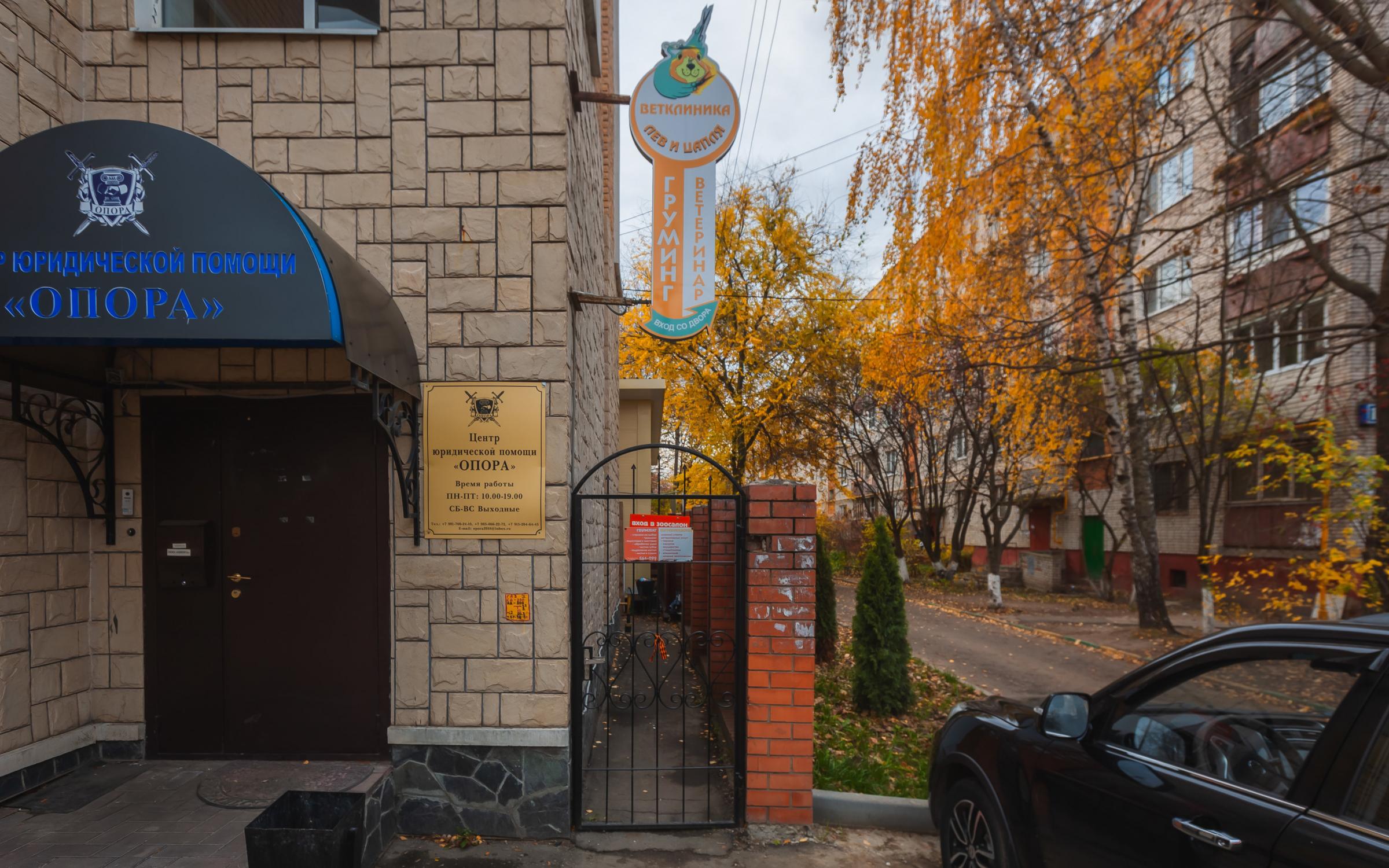 Лев и цапля - фото 5