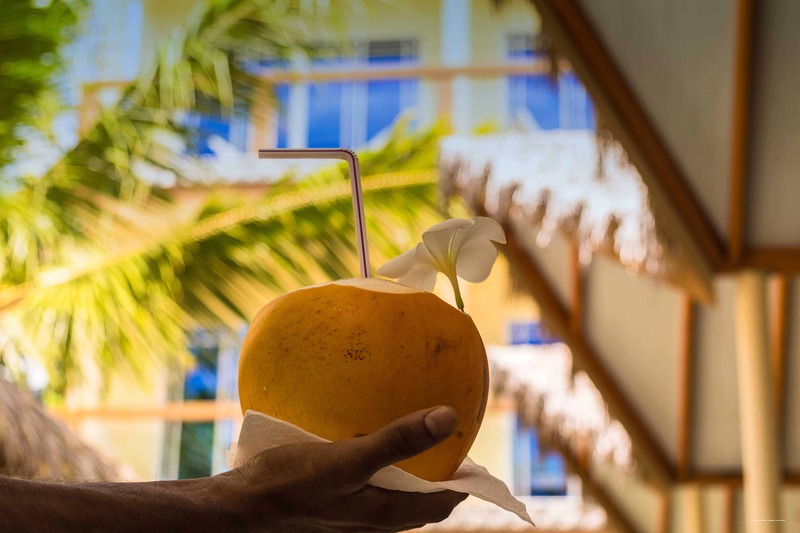 Фото Relax Residence 