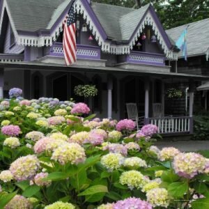 Внешний вид отеля Falmouth Heights Motor Lodge в Фалмуте, фото 2