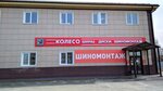 Koleso.ru (Popova Street, 167Б) ، إطارات وسبائك السيارات