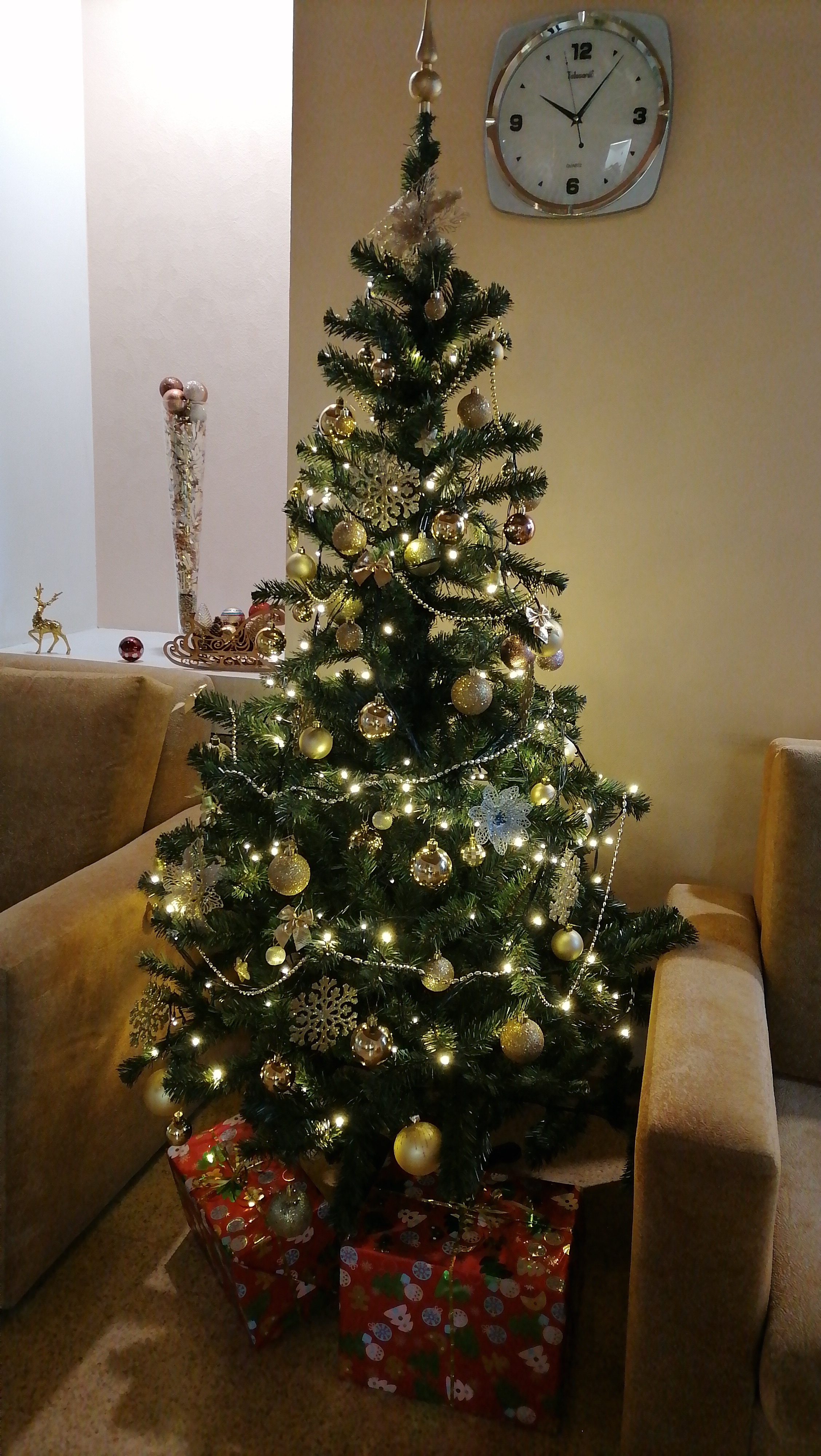 Фото Экватор-Лайт