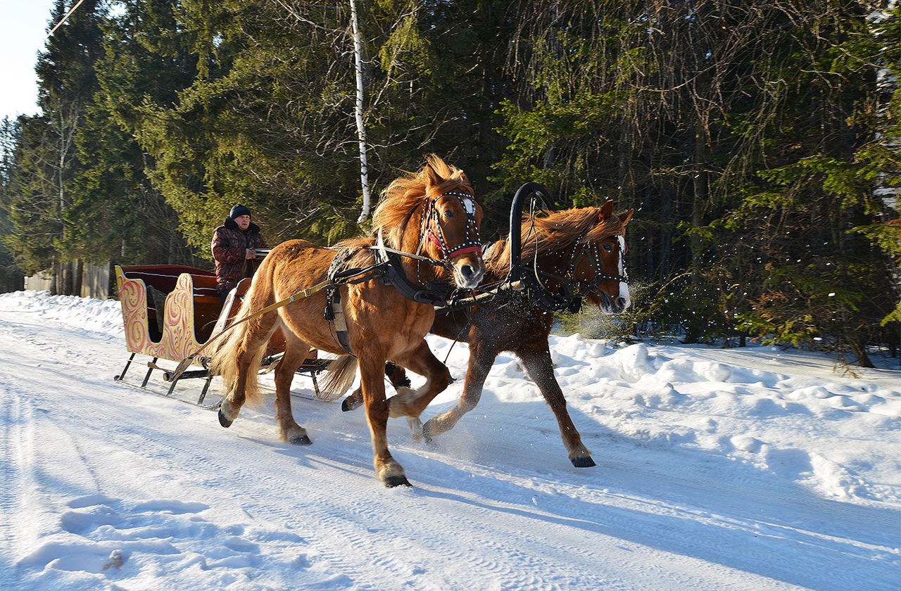 Фото Русская усадьба