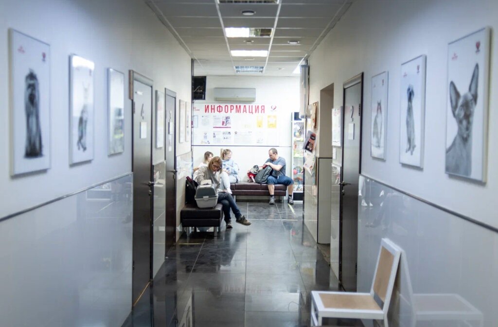 Айболит, ветеринарная аптека, Строительная, 12, Красногорск - 2ГИС