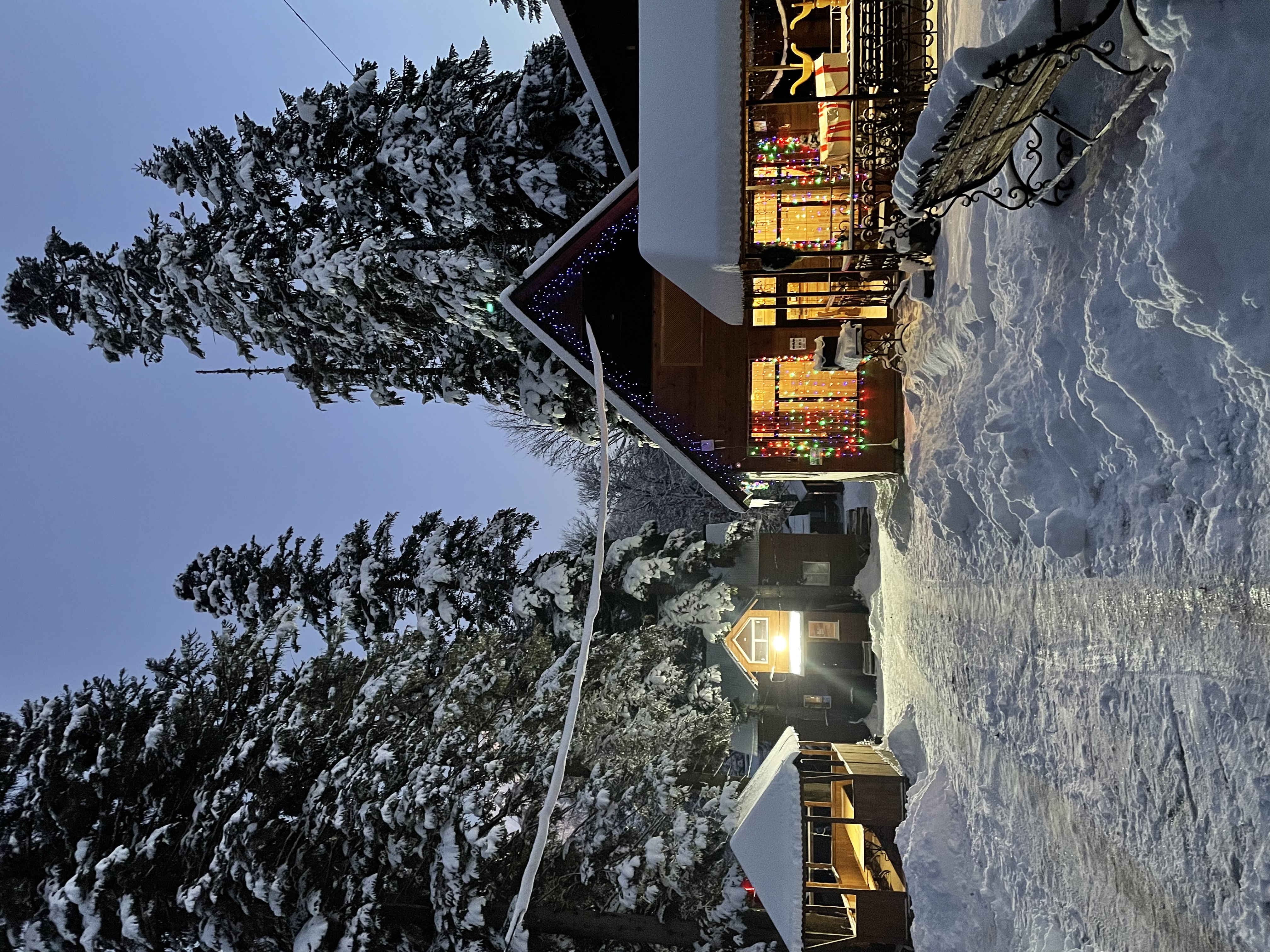 Фото Forest Yard