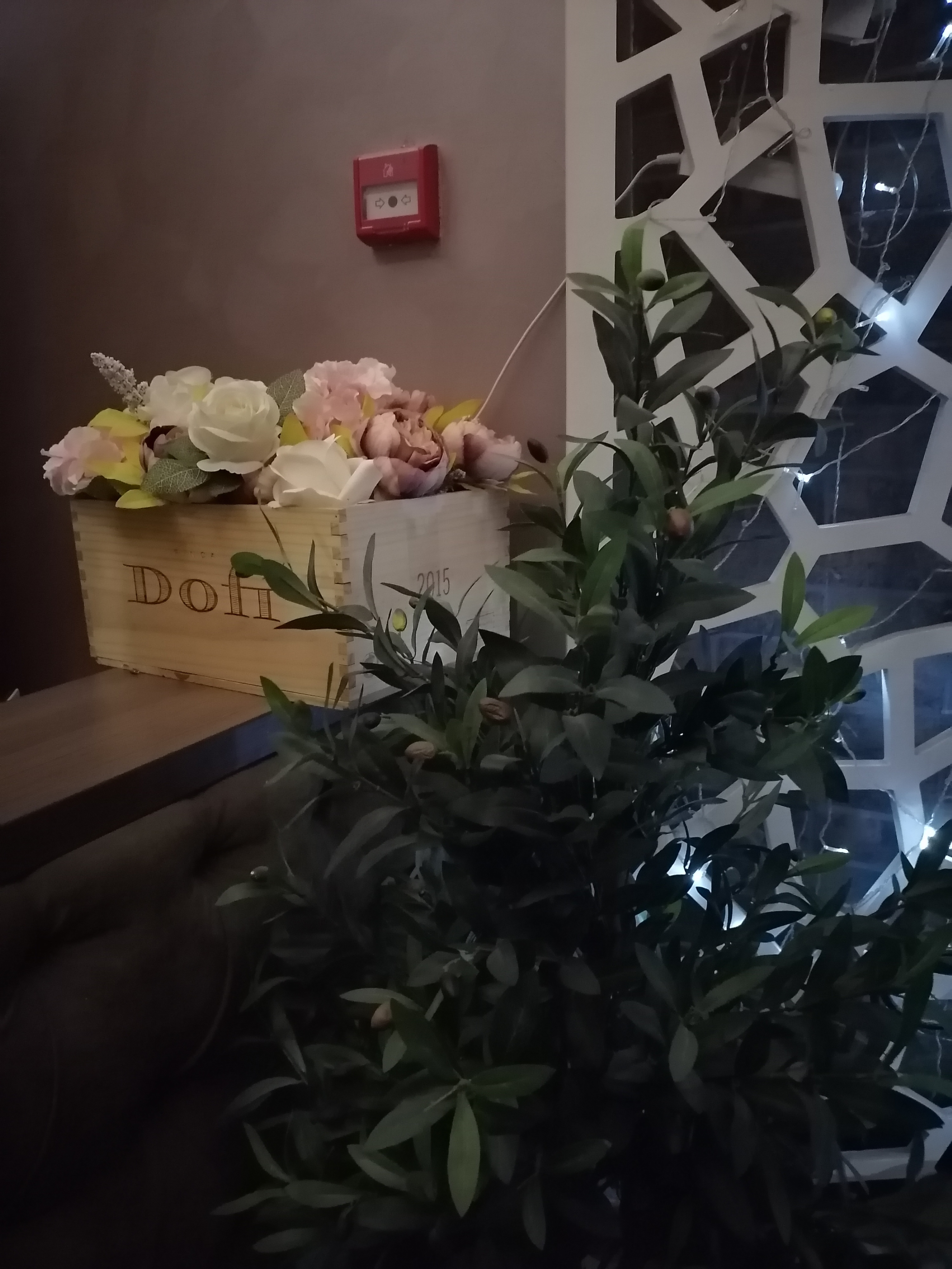 Фото Вишнёвый сад