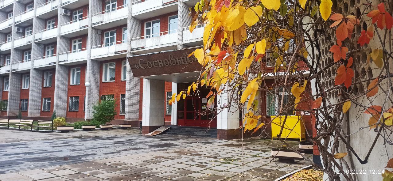 Фото Сосновый