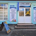 Амелия (Republic of Daghestan, selo Akhty), stationery store