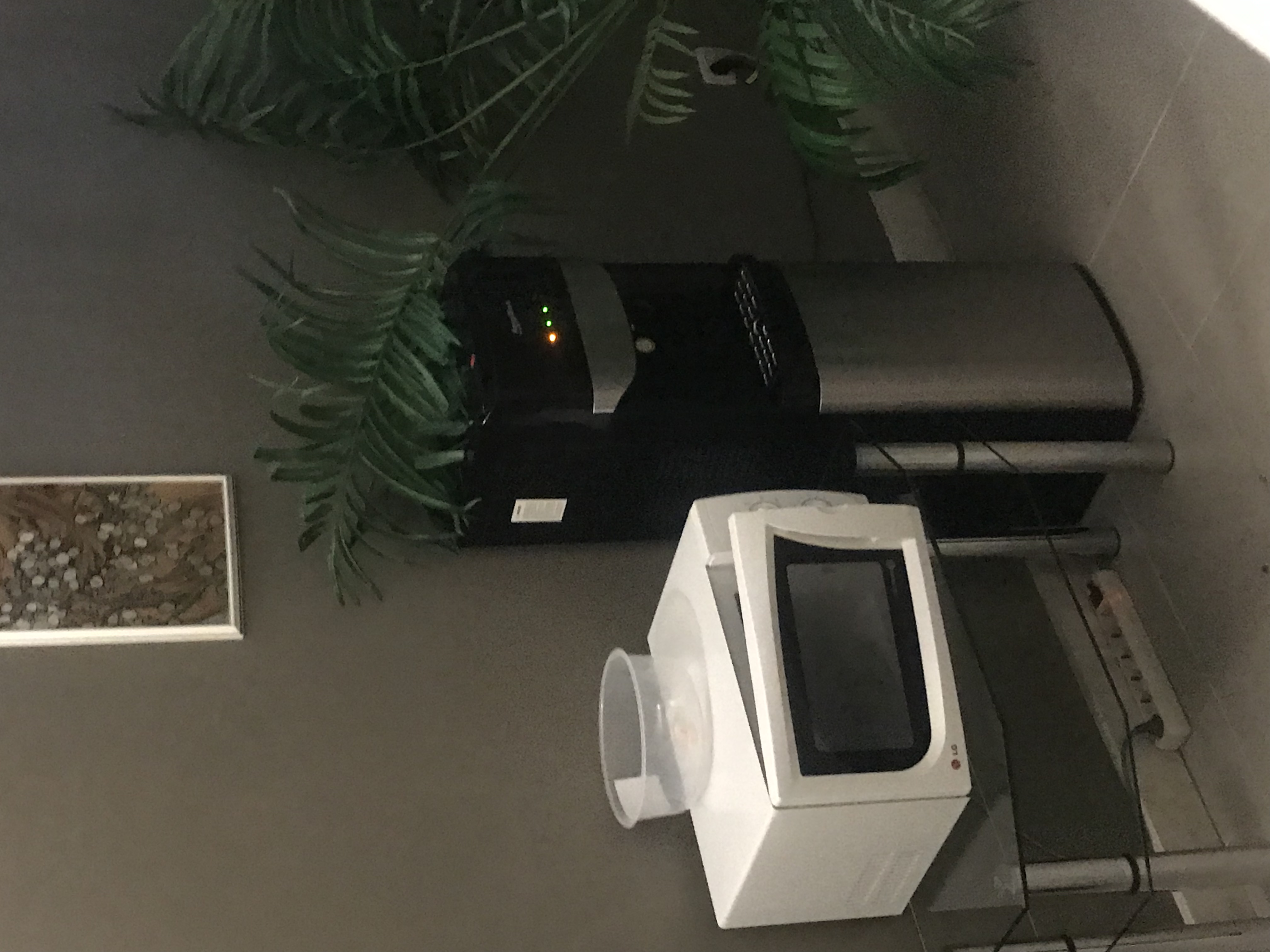 Фото Глория