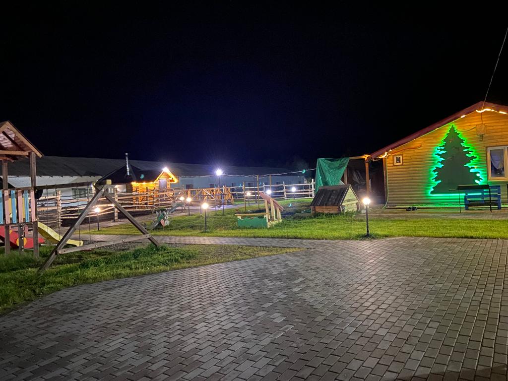 Фото Мурманская страусиная ферма